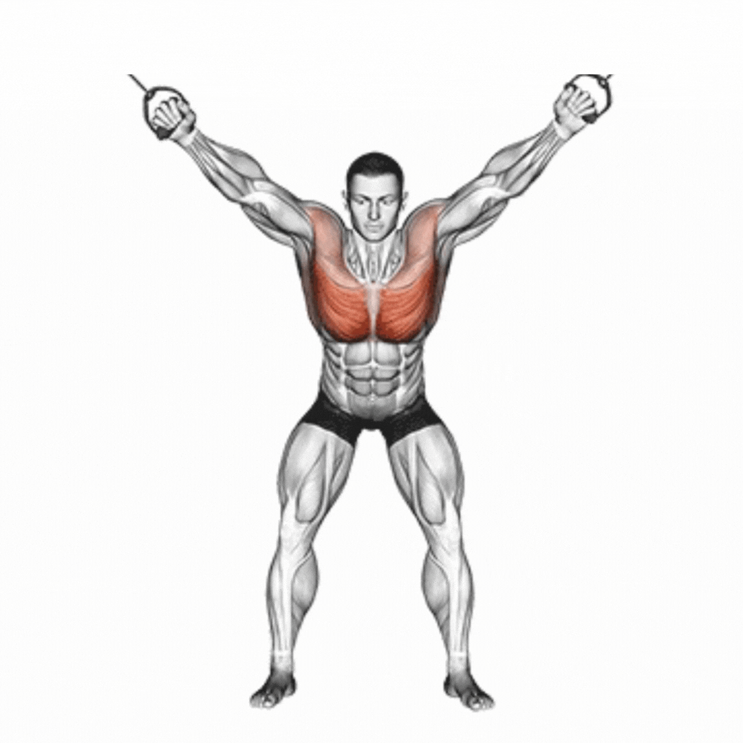 Cross over polia Alta